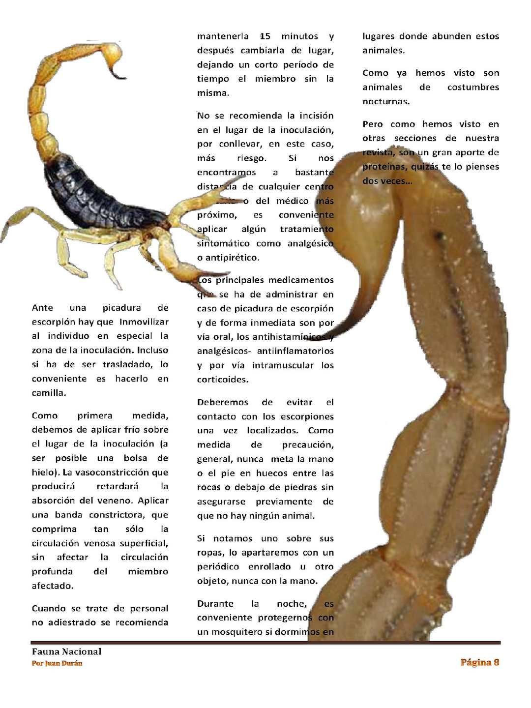 el dulce veneno del escorpion libro pdf siendo